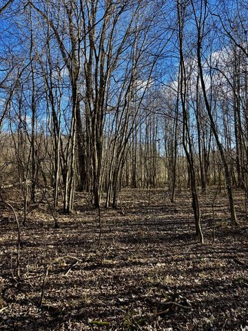 0 Wallace Road, Waverly, TN 37185