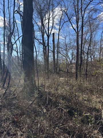 0 Wallace Road, Waverly, TN 37185