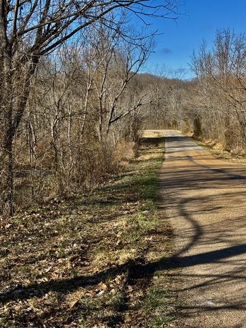 0 Wallace Road, Waverly, TN 37185