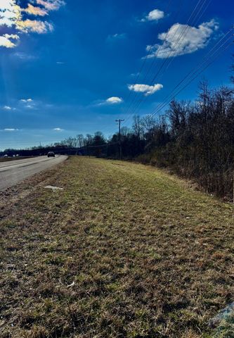 0 Wallace Road, Waverly, TN 37185