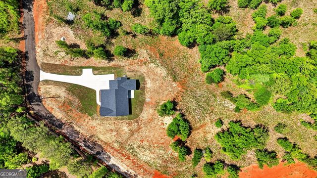 331 Andrews Mill Road, Greenville, GA 30222