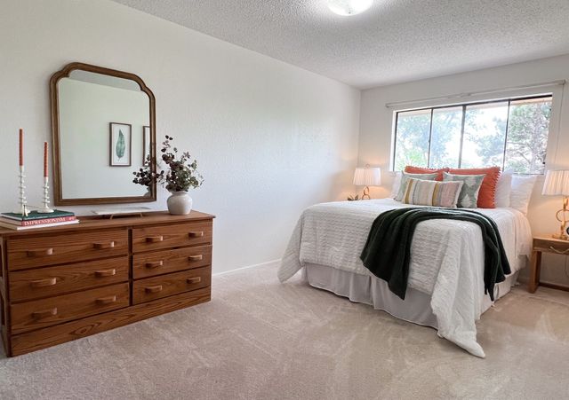 3055 Trinity 421, Los Alamos, NM 87544