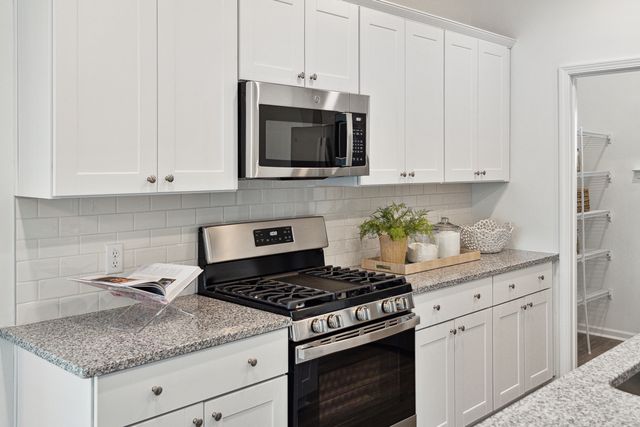 1039 Red Turnstone Run, Summerville, SC 29485