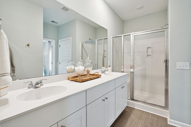 1039 Red Turnstone Run, Summerville, SC 29485