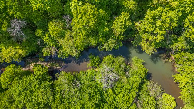 300 Gunter Smith Rd, Pulaski, TN 38478