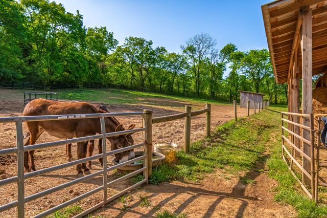 300 Gunter Smith Rd, Pulaski, TN 38478