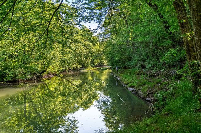 300 Gunter Smith Rd, Pulaski, TN 38478
