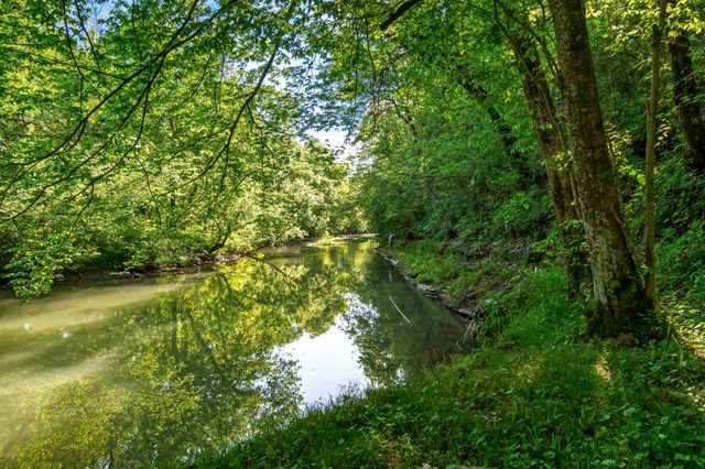 300 Gunter Smith Rd, Pulaski, TN 38478