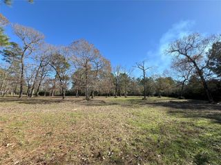 26161 Crown Ranch Boulevard, Montgomery, TX 77316