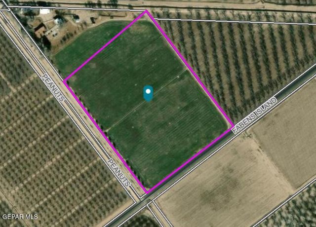 PN-25708 Island Road, Fabens, TX 79838