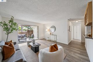 1327 Webster St B104, Alameda, CA 94501