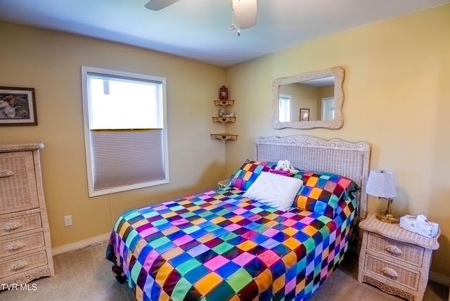 137 Snapp Road, Church Hill, TN 37642