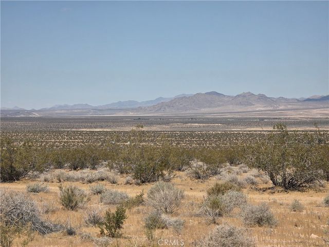 51033 Joshua Tree, Johnson Valley, CA 92285