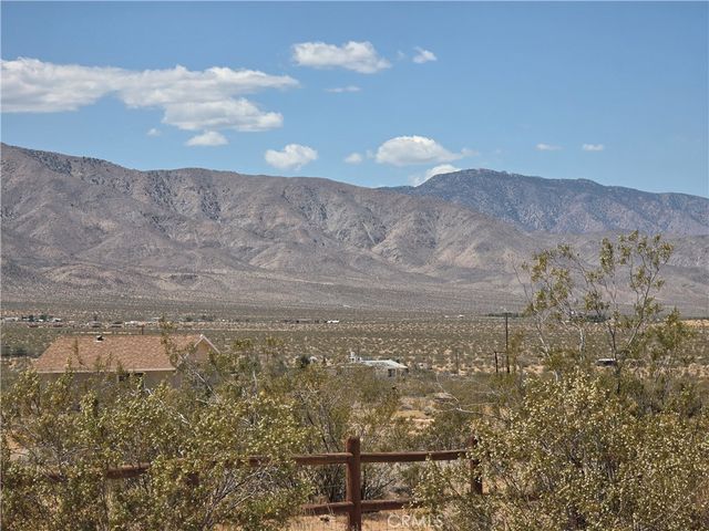 51033 Joshua Tree, Johnson Valley, CA 92285