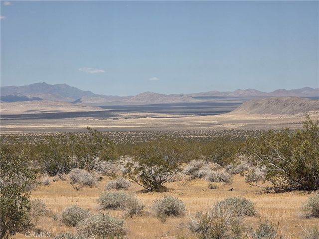 51033 Joshua Tree, Johnson Valley, CA 92285