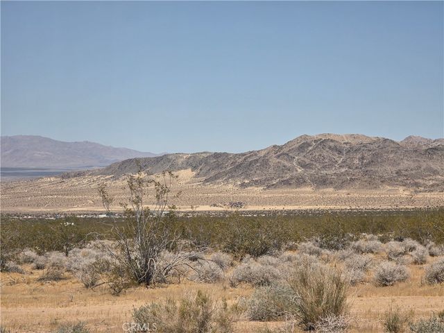 51033 Joshua Tree, Johnson Valley, CA 92285