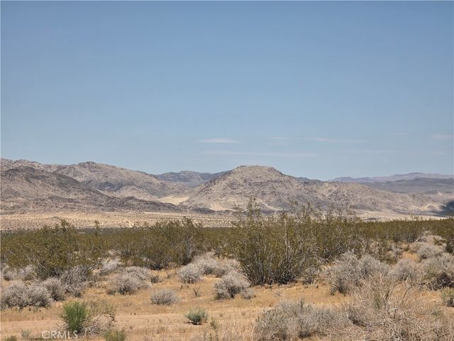 51033 Joshua Tree, Johnson Valley, CA 92285