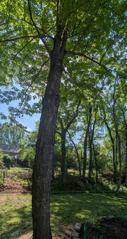 130 Nathan Forest DR, Hendersonville, TN 37075