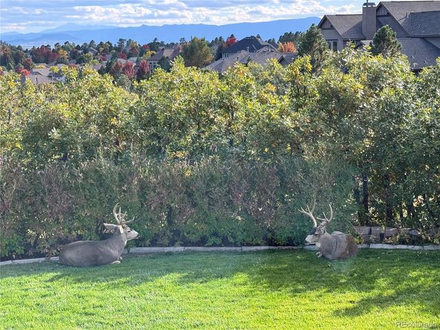 990 Glen Oaks Avenue, Castle Pines, CO 80108