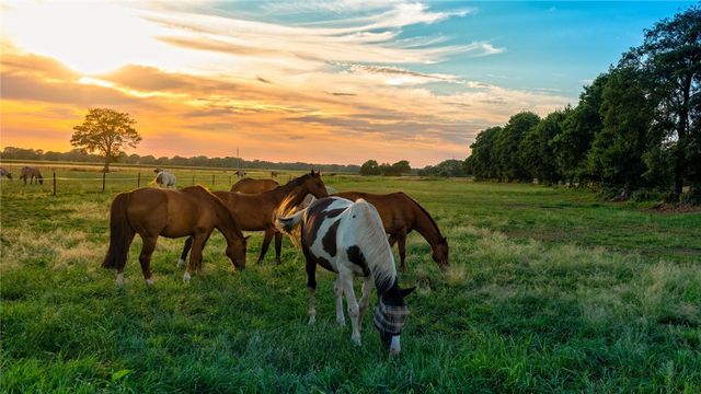 6466 Garhole View Lane, Bryan, TX 77808