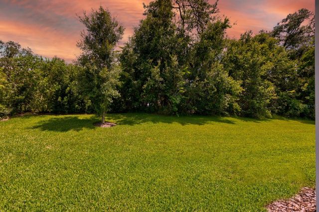 25962 HIGH HAMPTON CIRCLE, Sorrento, FL 32776