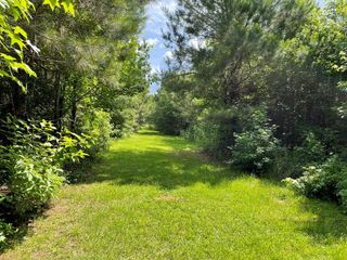 TBD Tom Warner, Tylertown, MS 39667