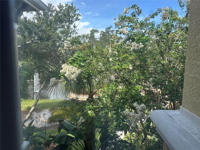 10021 COURTNEY PALMS BOULEVARD 303, Tampa, FL 33619