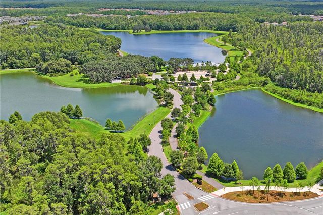 13636 STEVENSON LANE, Odessa, FL 33556