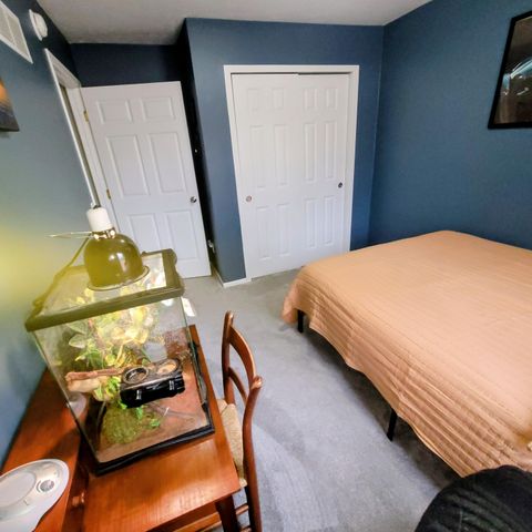 13360 Keller Avenue NE, Cedar Springs, MI 49319