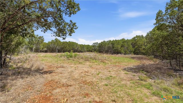 27230 Eichenbaum Road, New Braunfels, TX 78132