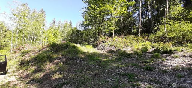 301 NE WJ Way, Belfair, WA 98528