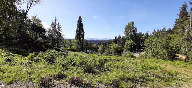 301 NE WJ Way, Belfair, WA 98528