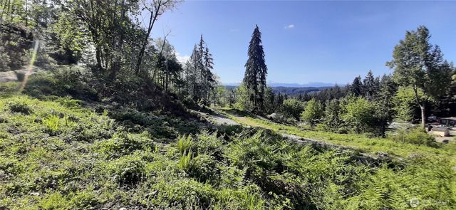 301 NE WJ Way, Belfair, WA 98528