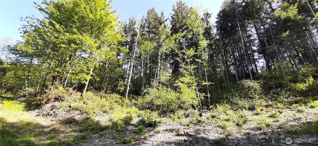 301 NE WJ Way, Belfair, WA 98528