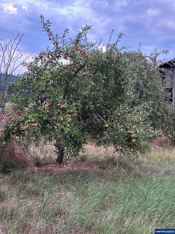 Image 31 of property listing at 5720 NE Duniway Rd, Dayton, OR 97114