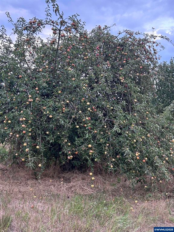 Image 34 of property listing at 5720 NE Duniway Rd, Dayton, OR 97114