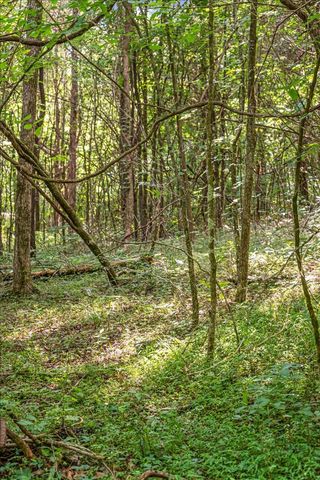 1551 Rhotons Chapel Rd, Manchester, TN 37355