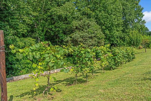 1551 Rhotons Chapel Rd, Manchester, TN 37355