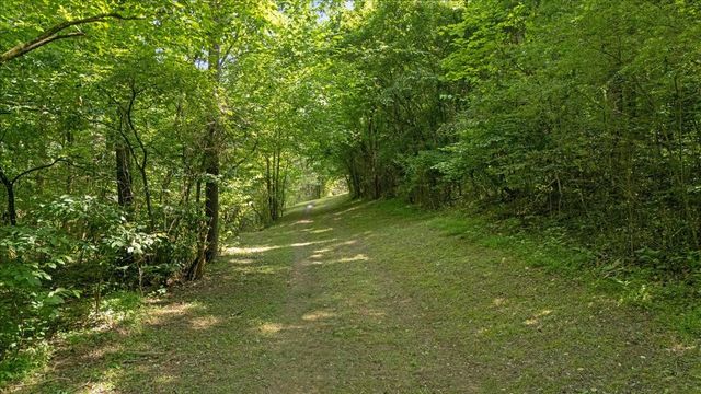 1551 Rhotons Chapel Rd, Manchester, TN 37355