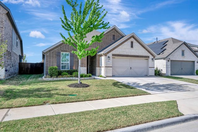 1104 Superbloom Avenue, Justin, TX 76247