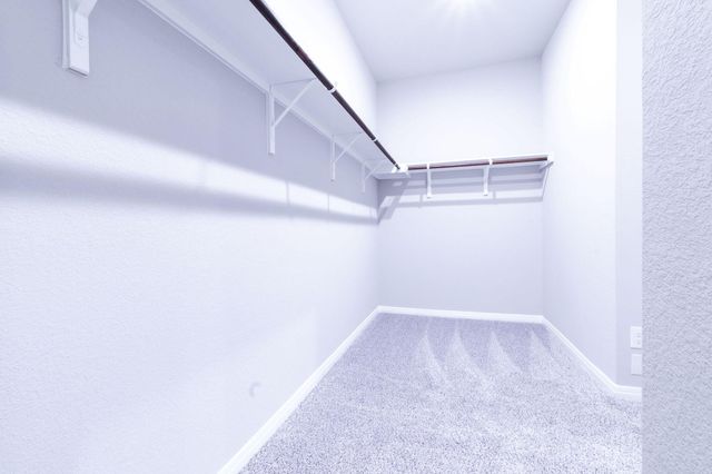 2838 Dell Hollow Dr DR, Round Rock, TX 78665