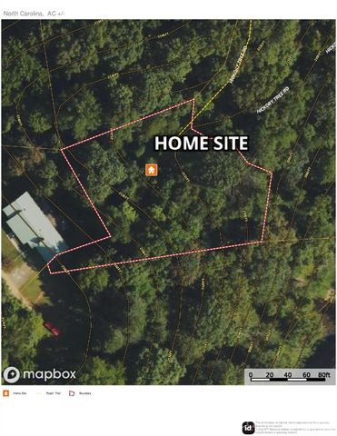 99999 Hickory Tree Road, Asheville, NC 28805