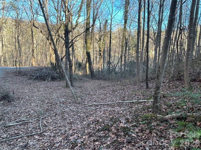 99999 Hickory Tree Road, Asheville, NC 28805