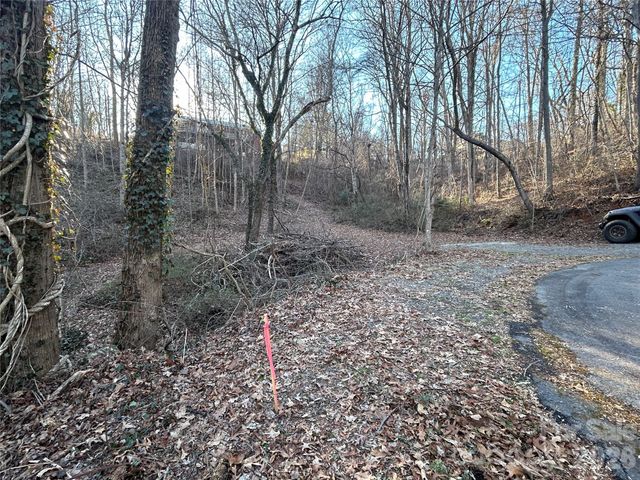 99999 Hickory Tree Road, Asheville, NC 28805