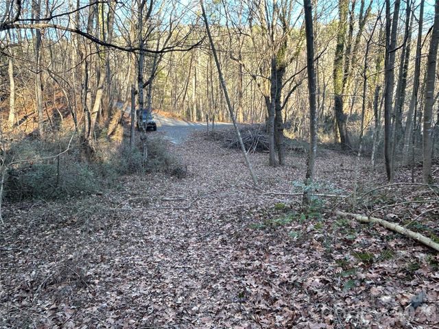 99999 Hickory Tree Road, Asheville, NC 28805