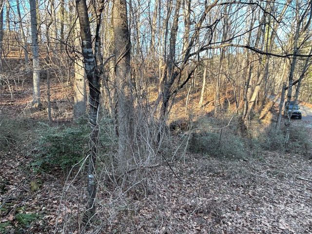 99999 Hickory Tree Road, Asheville, NC 28805