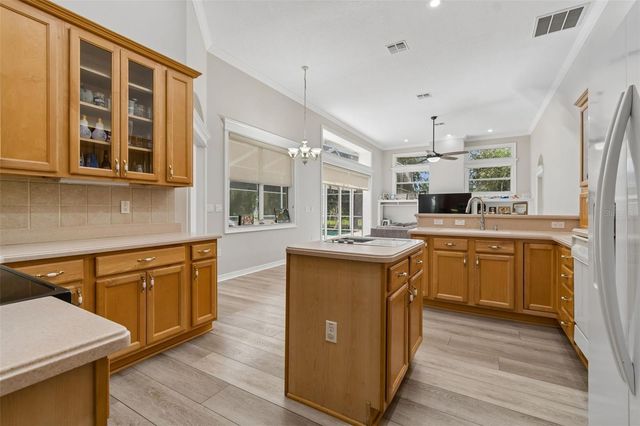 35841 MIDDEN PATH, Zephyrhills, FL 33541