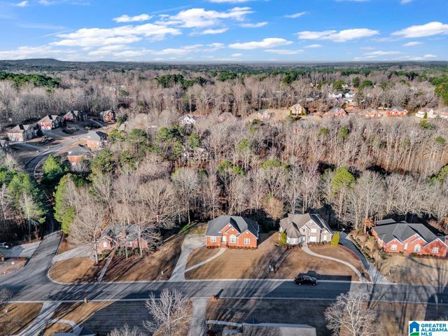 6220 DORSETT WOODS DRIVE, Mount Olive, AL 35117