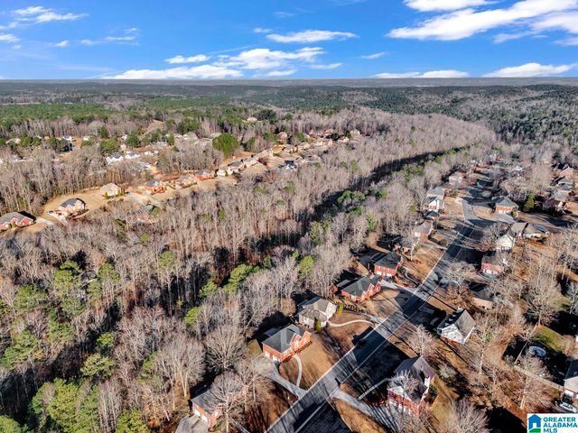 6220 DORSETT WOODS DRIVE, Mount Olive, AL 35117