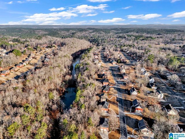 6220 DORSETT WOODS DRIVE, Mount Olive, AL 35117